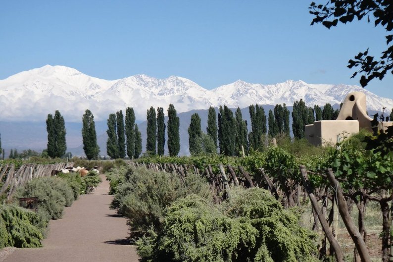 17 - Cavas Wine Lodge, Mendoza, Argentina