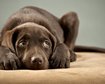 thumb-image-2024-02-29T13:58:37.159Z