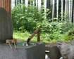 thumb-image-2024-02-29T13:58:37.457Z