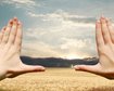thumb-image-2024-02-29T13:58:37.512Z