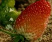 thumb-image-2024-02-29T13:58:37.679Z