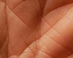 thumb-image-2024-02-29T13:58:37.897Z