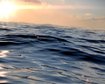 thumb-image-2024-02-29T13:58:38.221Z