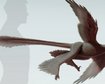 thumb-image-2024-02-29T13:58:38.749Z