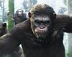 thumb-image-2024-02-29T13:58:39.491Z