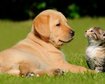thumb-image-2024-02-29T13:58:39.871Z