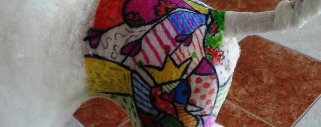 thumb-image-2024-02-29T13:58:40.133Z