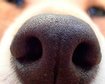 thumb-image-2024-02-29T13:58:40.404Z