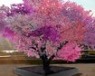 thumb-image-2024-02-29T13:58:40.722Z