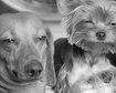 thumb-image-2024-02-29T13:58:41.491Z