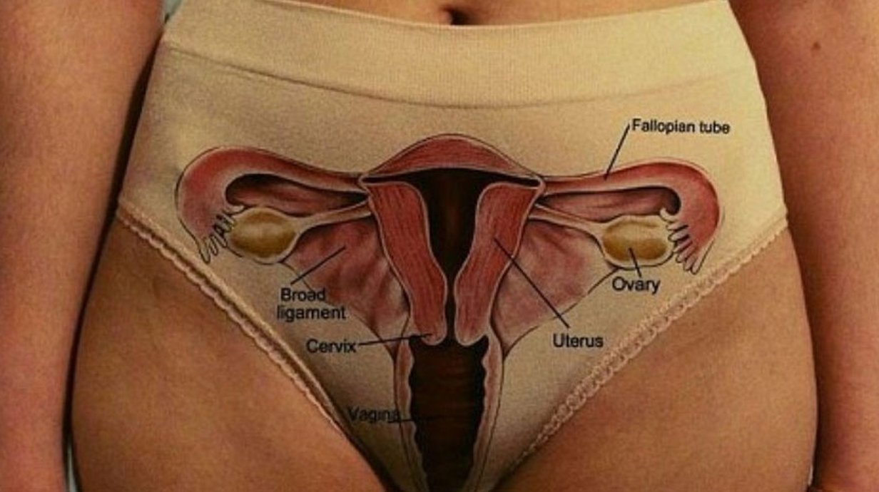 Calcinha mostra vagina por dentro, mas não é o que você está pensando -  Mega Curioso