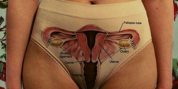 Calcinha Mostra Vagina Por Dentro Mas No O Que Voc Est Pensando