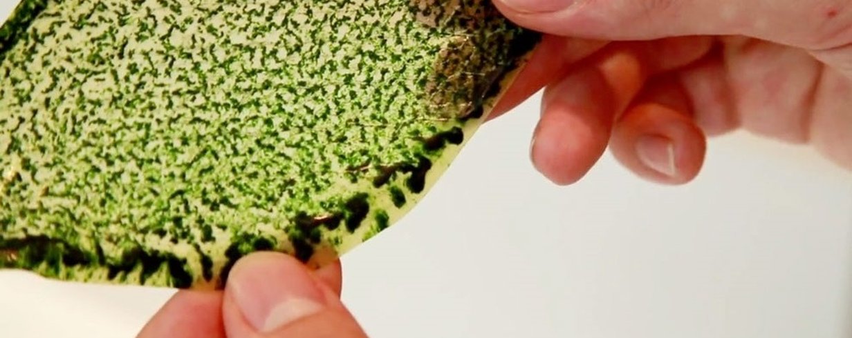 thumb-image-2024-02-29T13:58:41.633Z