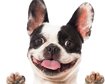 thumb-image-2024-02-29T13:58:42.213Z