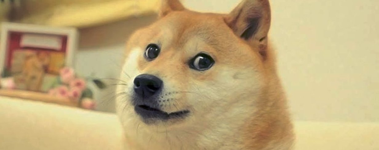 thumb-image-2024-02-29T13:58:42.254Z