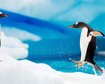 thumb-image-2024-02-29T13:58:42.531Z