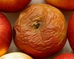 thumb-image-2024-02-29T13:58:42.610Z