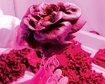 thumb-image-2024-02-29T13:58:42.620Z