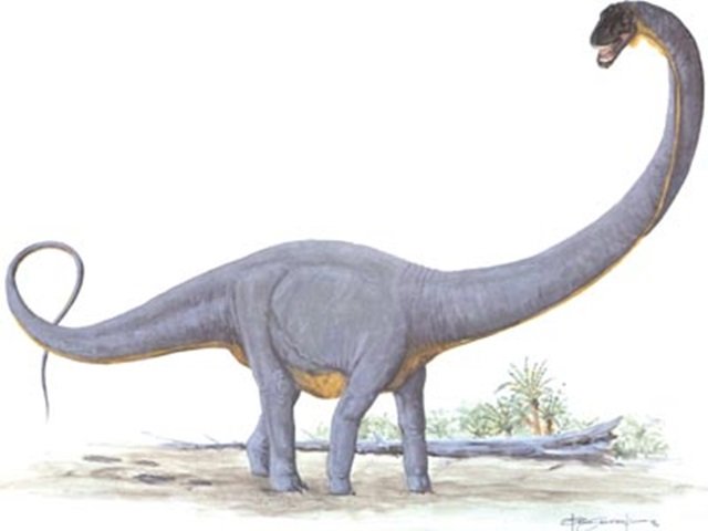 Descoberto o dinossauro mais antigo, com 245 milhões de anos