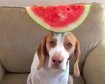 thumb-image-2024-02-29T13:58:43.575Z