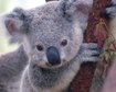 thumb-image-2024-02-29T13:58:44.474Z
