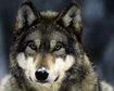 thumb-image-2024-02-29T13:58:44.504Z