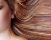 thumb-image-2024-02-29T13:58:44.685Z