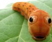 thumb-image-2024-02-29T13:58:44.822Z