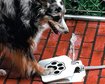 thumb-image-2024-02-29T13:58:45.011Z
