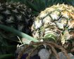 thumb-image-2024-02-29T13:58:45.233Z
