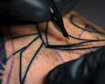 thumb-image-2024-02-29T13:58:45.381Z