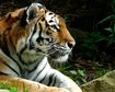 thumb-image-2024-02-29T13:58:45.654Z