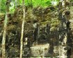 thumb-image-2024-02-29T13:58:45.818Z
