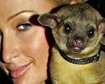 thumb-image-2024-02-29T13:58:46.206Z