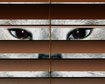 thumb-image-2024-02-29T13:58:46.591Z