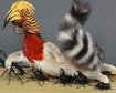 thumb-image-2024-02-29T13:58:46.610Z