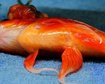 thumb-image-2024-02-29T13:58:47.610Z