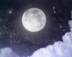 thumb-image-2024-02-29T13:58:47.643Z
