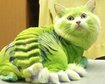 thumb-image-2024-02-29T13:58:48.104Z