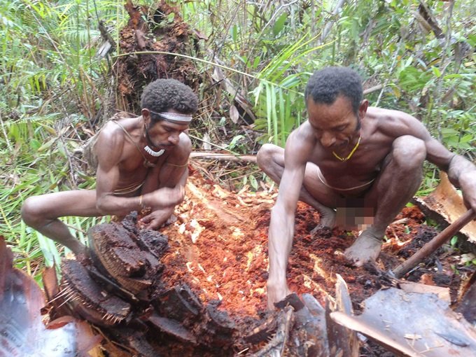 Canibalismo: conheça os Korowai, a última tribo antropófaga existente