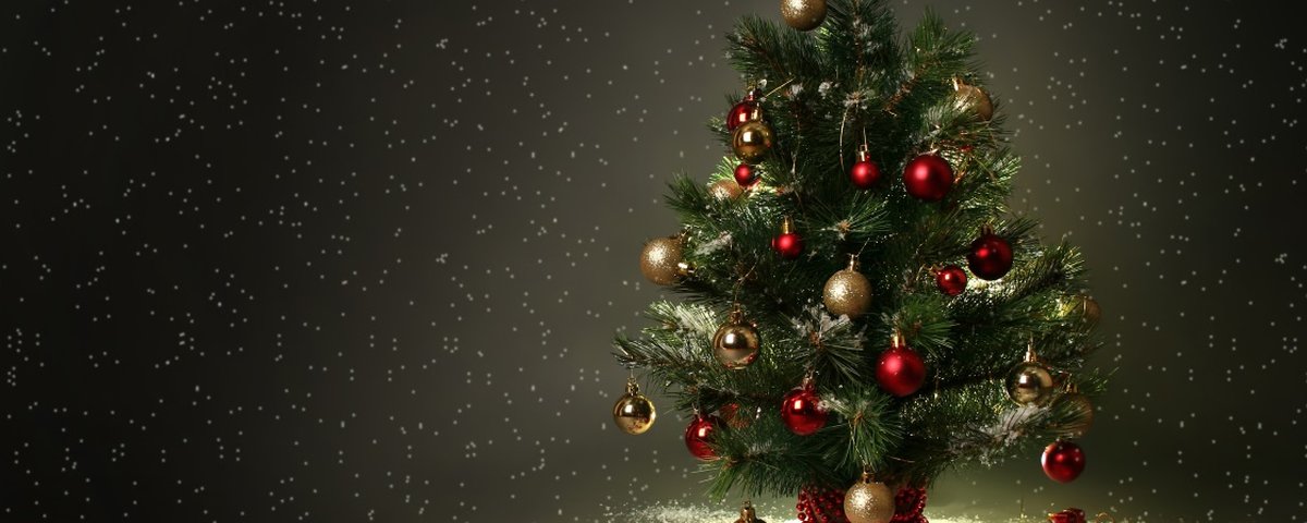 Você conhece a origem da árvore de Natal? - Mega Curioso