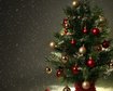thumb-image-2024-02-29T13:58:48.598Z