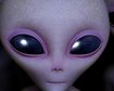 thumb-image-2024-02-29T13:58:48.723Z