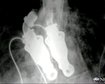 thumb-image-2024-02-29T13:58:48.754Z