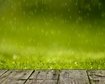 thumb-image-2024-02-29T13:58:49.275Z