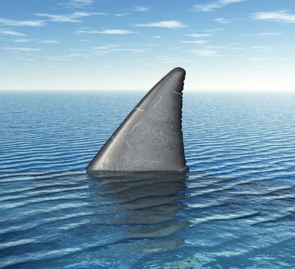 Conheça a história do pior ataque de tubarões de todos os tempos