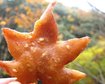 thumb-image-2024-02-29T13:58:49.656Z