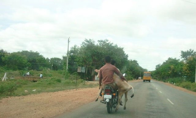 62 fotos que provam que o transporte não tem mais salvação