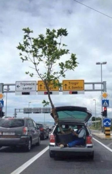 62 fotos que provam que o transporte não tem mais salvação
