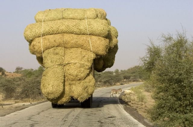 62 fotos que provam que o transporte não tem mais salvação